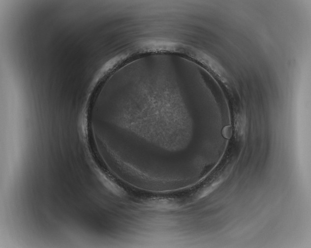 X0000115650629200911171443