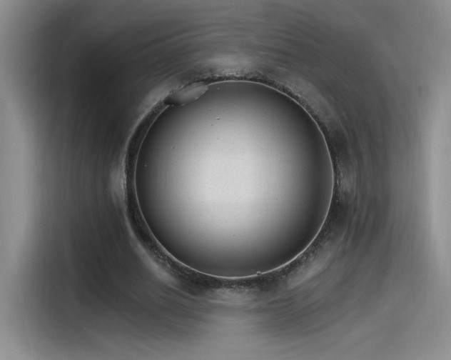 X0000115650630200911171443