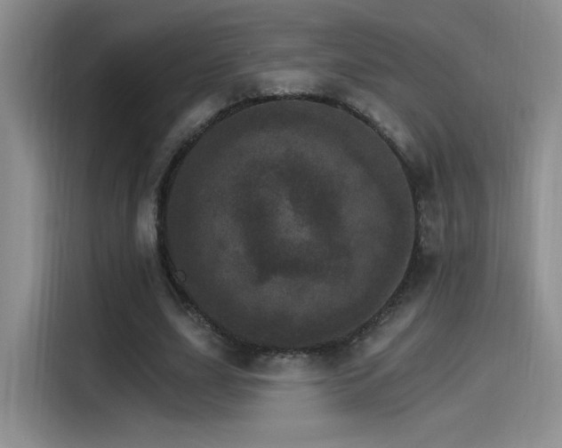 X0000115650631200911171443