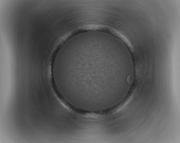 X0000115650633200911171443