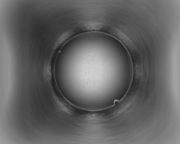 X0000115650634200911171443