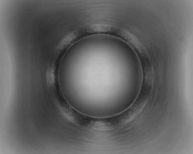 X0000115650635200911171443