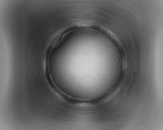 X0000115650637200911171443