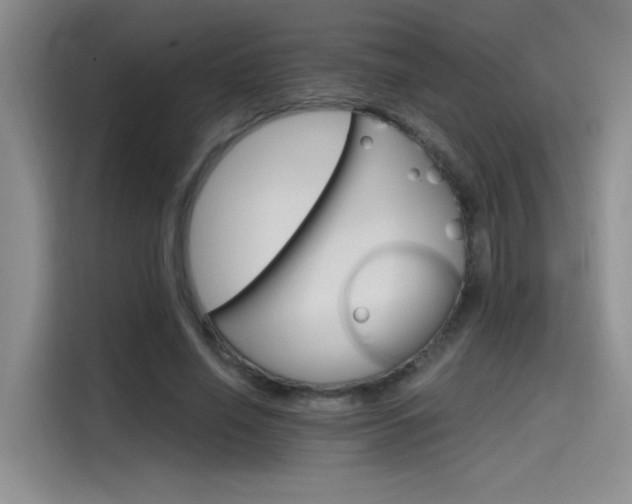 X0000115650638200911171443