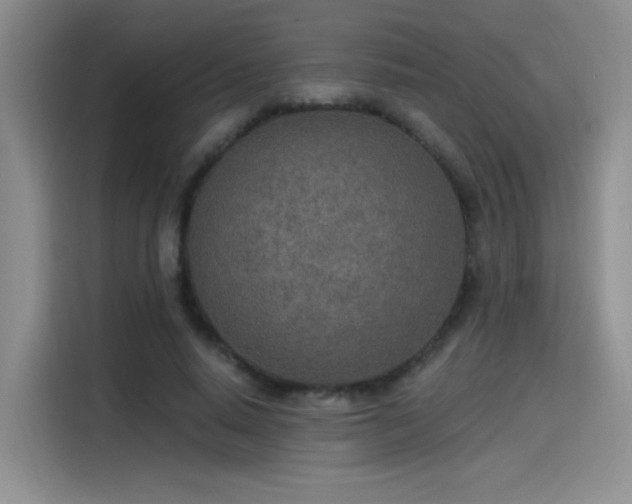 X0000115650640200911171443