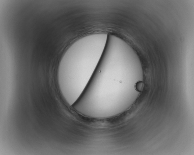 X0000115650642200911171443