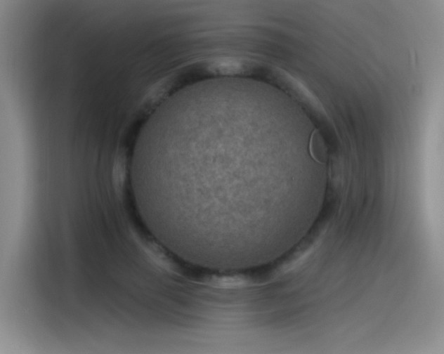 X0000115650645200911171443