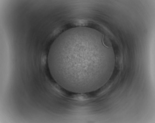 X0000115650652200911171443