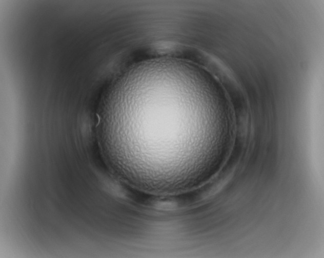 X0000115650653200911171443