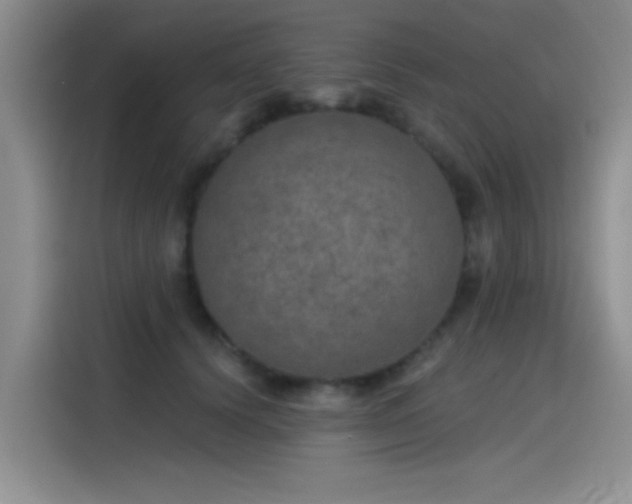 X0000115650656200911171443