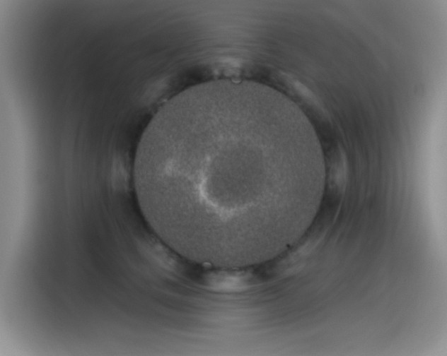 X0000115650661200911171443