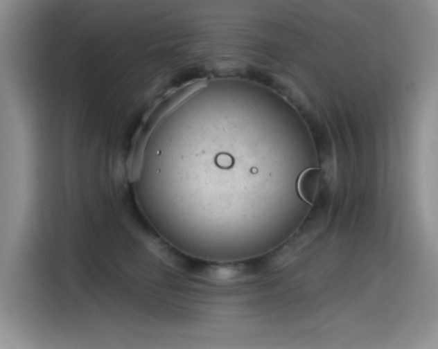 X0000115650662200911171443