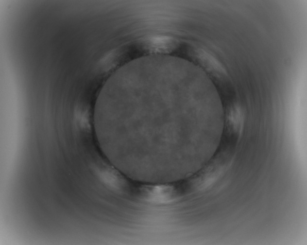 X0000115650663200911171443