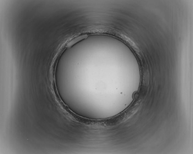 X0000115650673200911171443