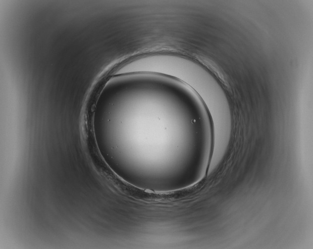 X0000115650680200911171443