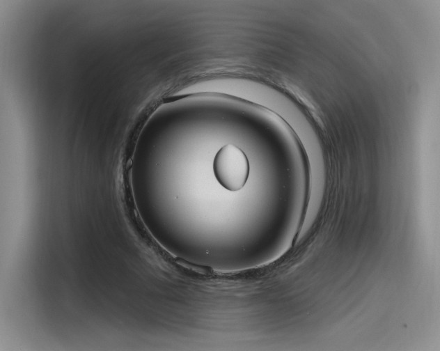 X0000115650681200911171443