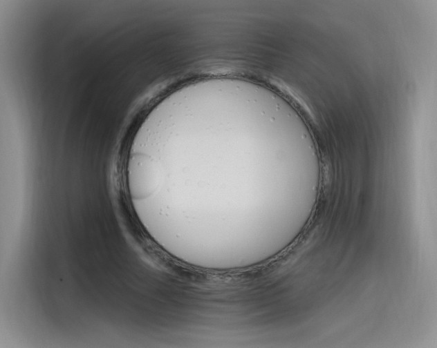 X0000115650682200911171443