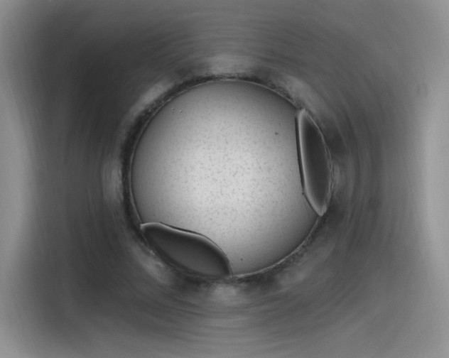 X0000115650684200911171443