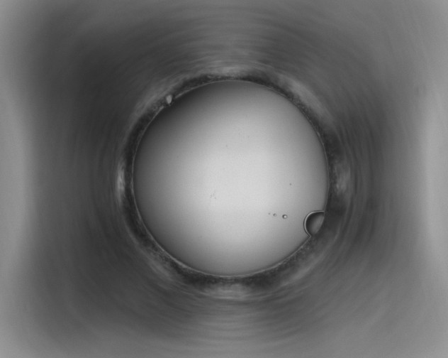 X0000115650685200911171443