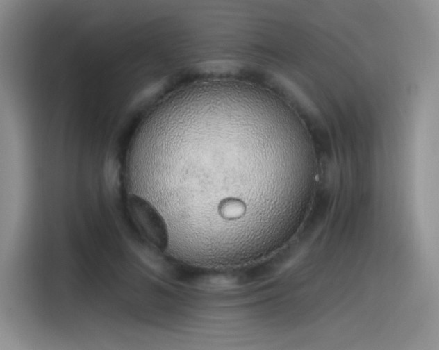 X0000115650692200911171443