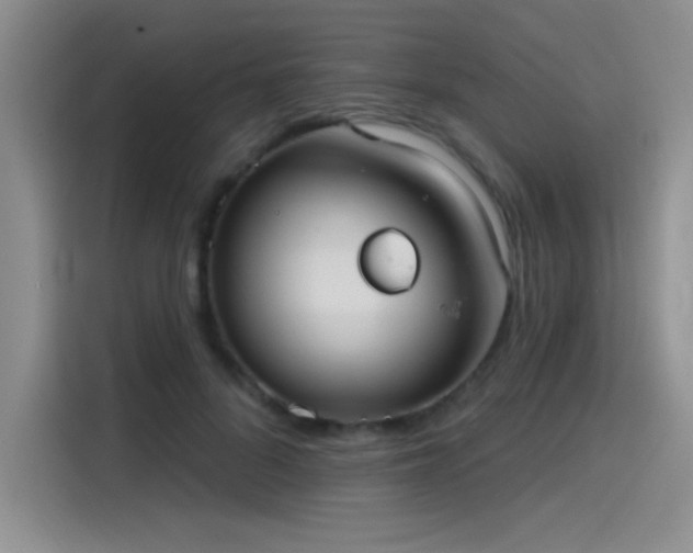 X0000115650696200911171443