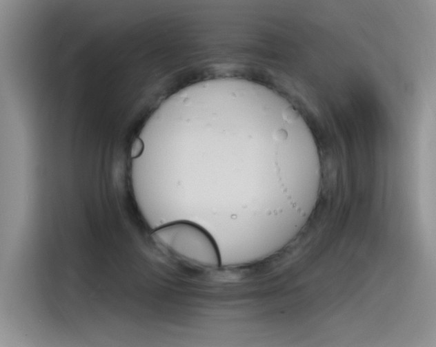 X0000115650698200911171443