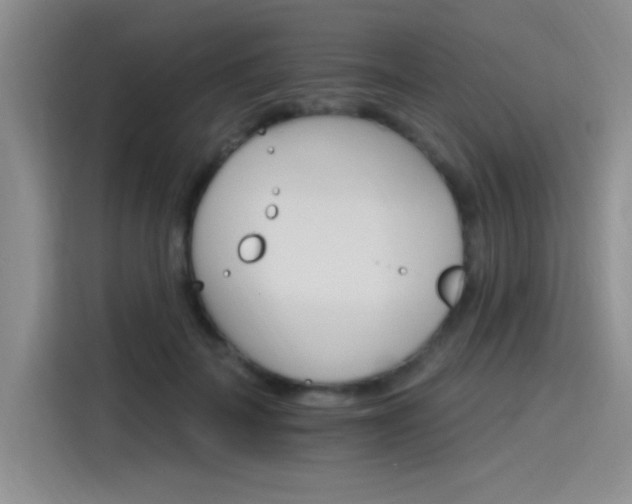 X0000115650699200911171443