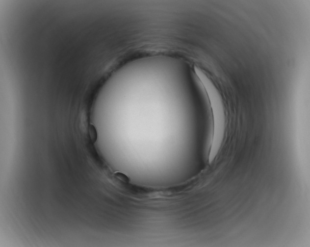 X0000115650700200911171443