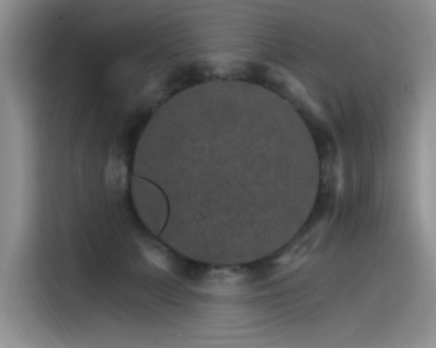 X0000115650703200911171443