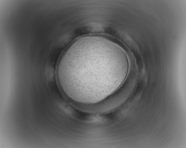 X0000115650704200911171442