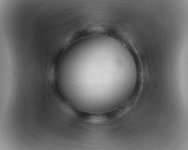 X0000115650708200911171442