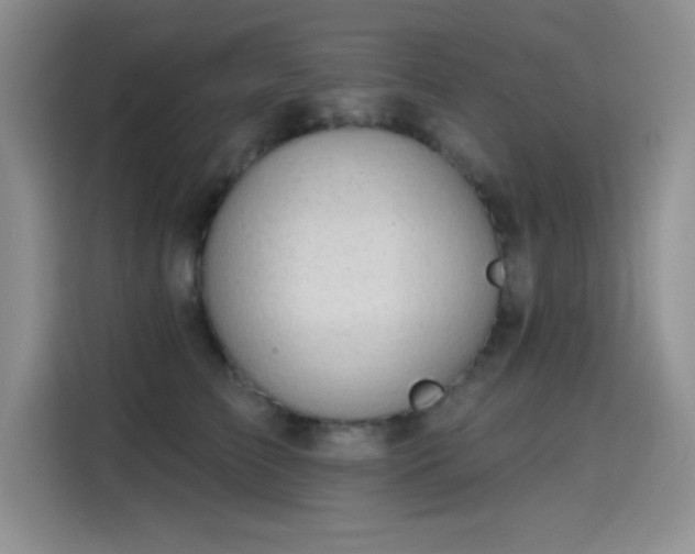 X0000115650709200911171442