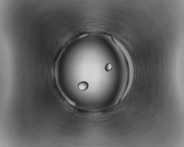 X0000115650716200911171442