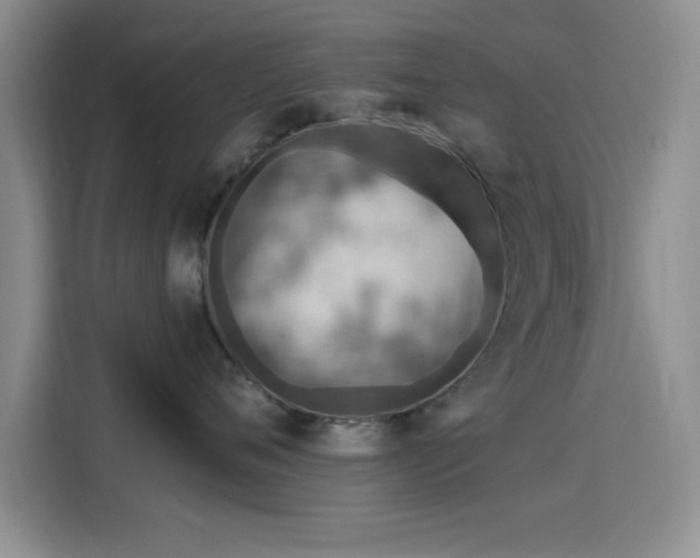 X0000115650720200911171442