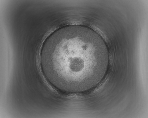 X0000115650721200911171442