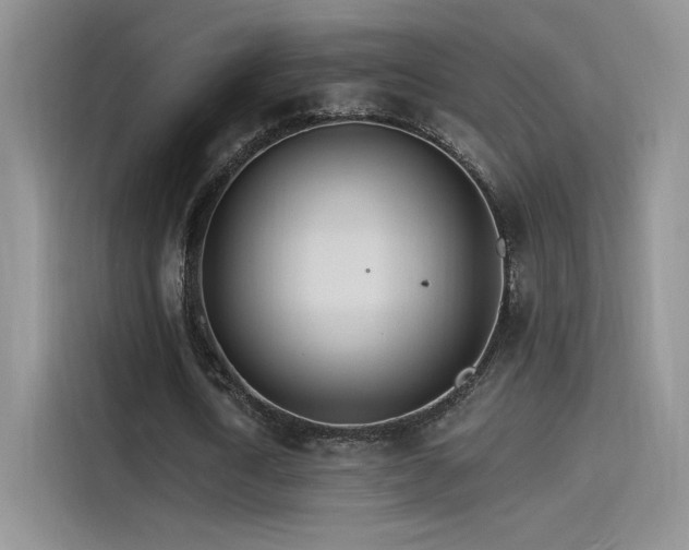 X0000115650722200911171442