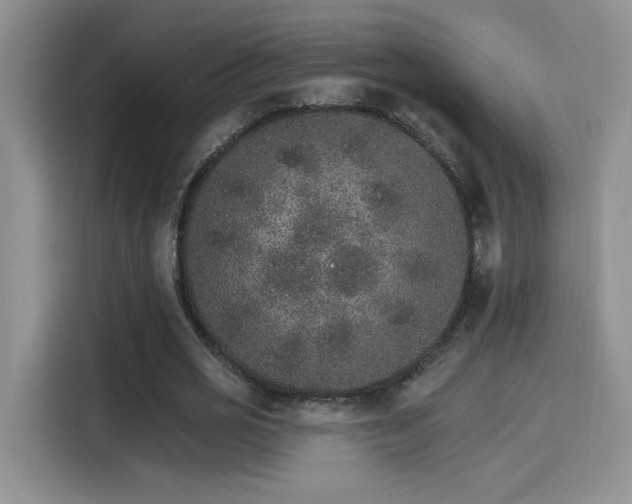 X0000115650725200911171442