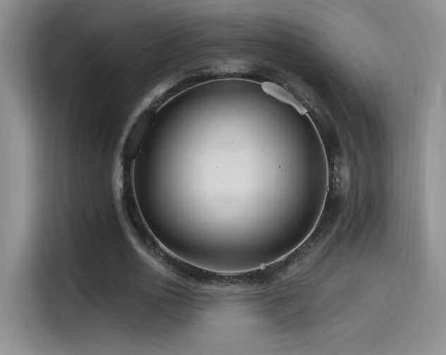 X0000115650726200911171442