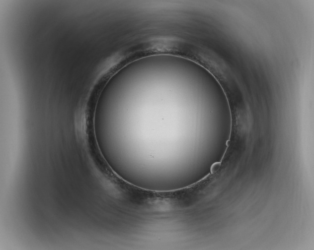 X0000115650730200911171442