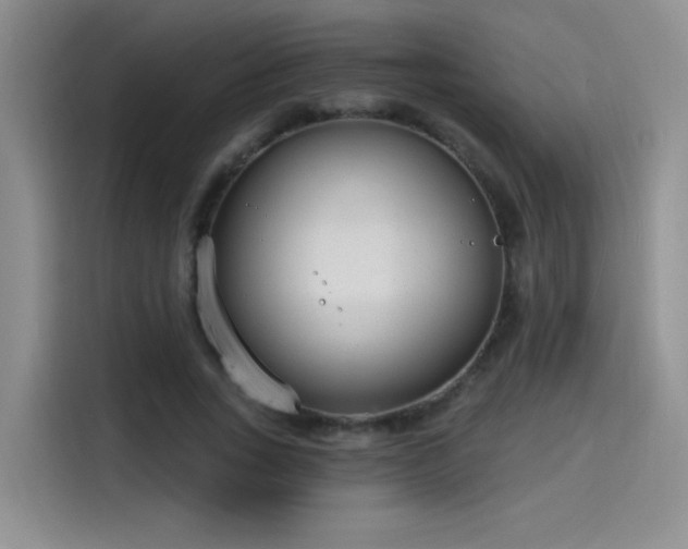 X0000115650735200911171442