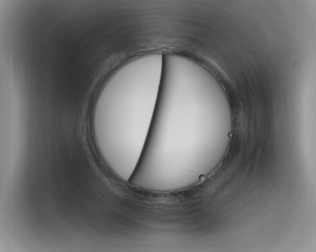 X0000115650738200911171442