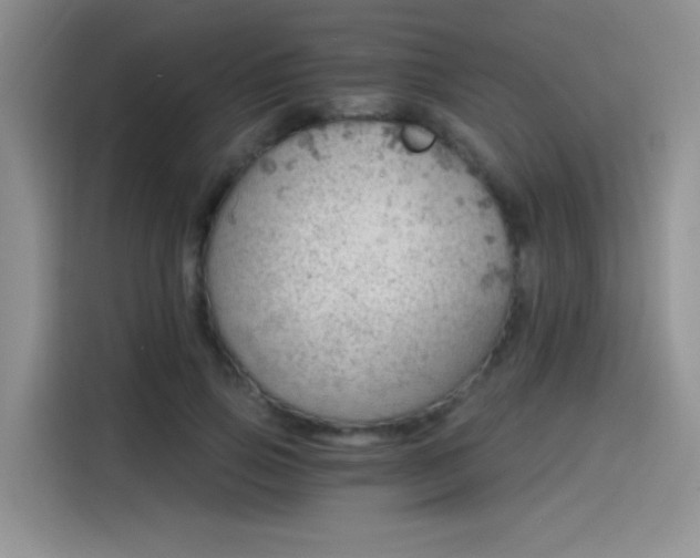 X0000115650741200911171442