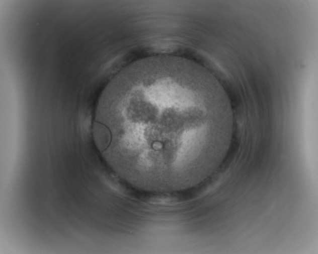 X0000115650745200911171442