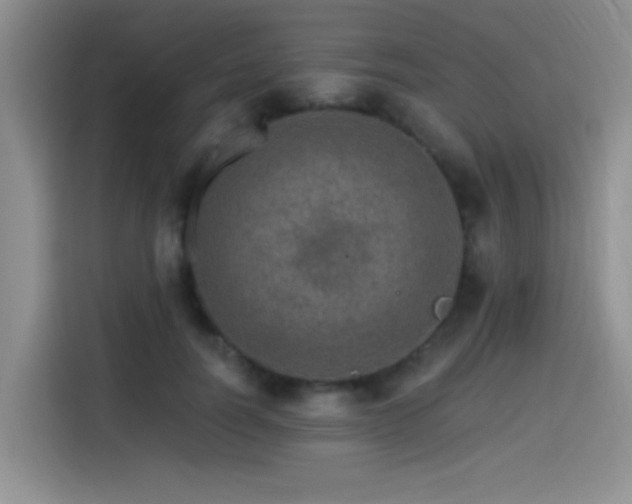 X0000115650746200911171442