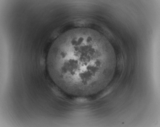 X0000115650749200911171442