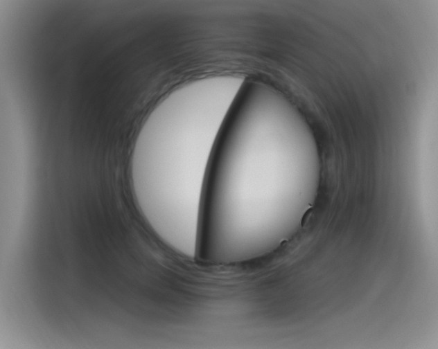 X0000115650750200911171442