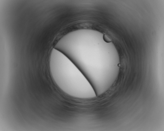 X0000115650751200911171442