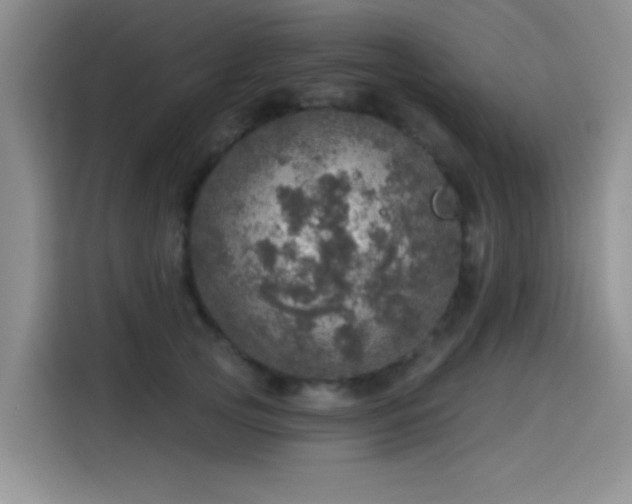 X0000115650753200911171442