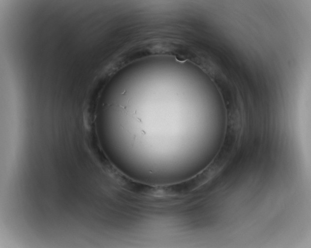 X0000115650755200911171442