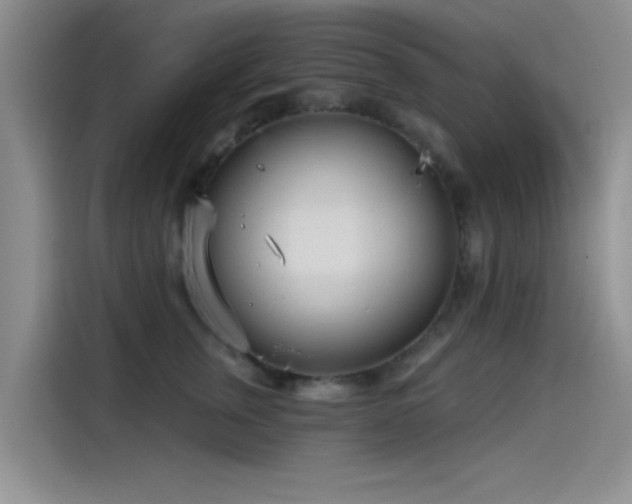 X0000115650759200911171442